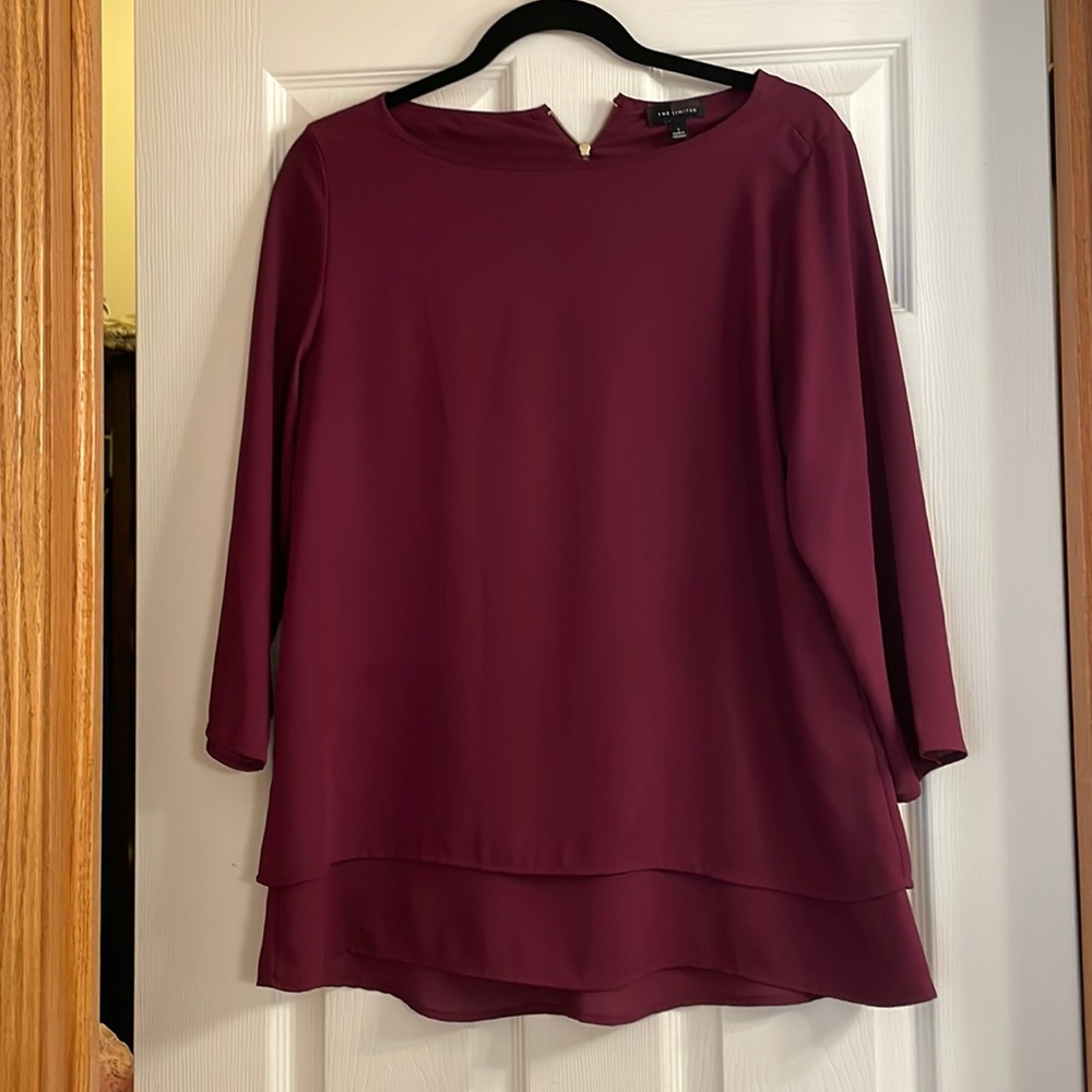 The Limited long sleeved blouse